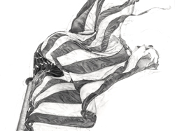 Damaged American Flag